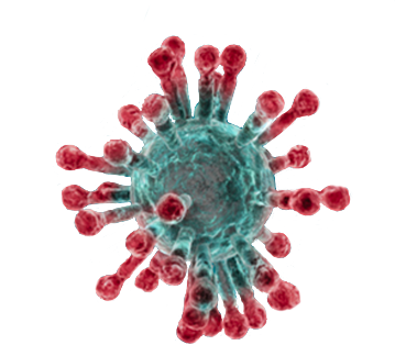 Covid-19 Molecule